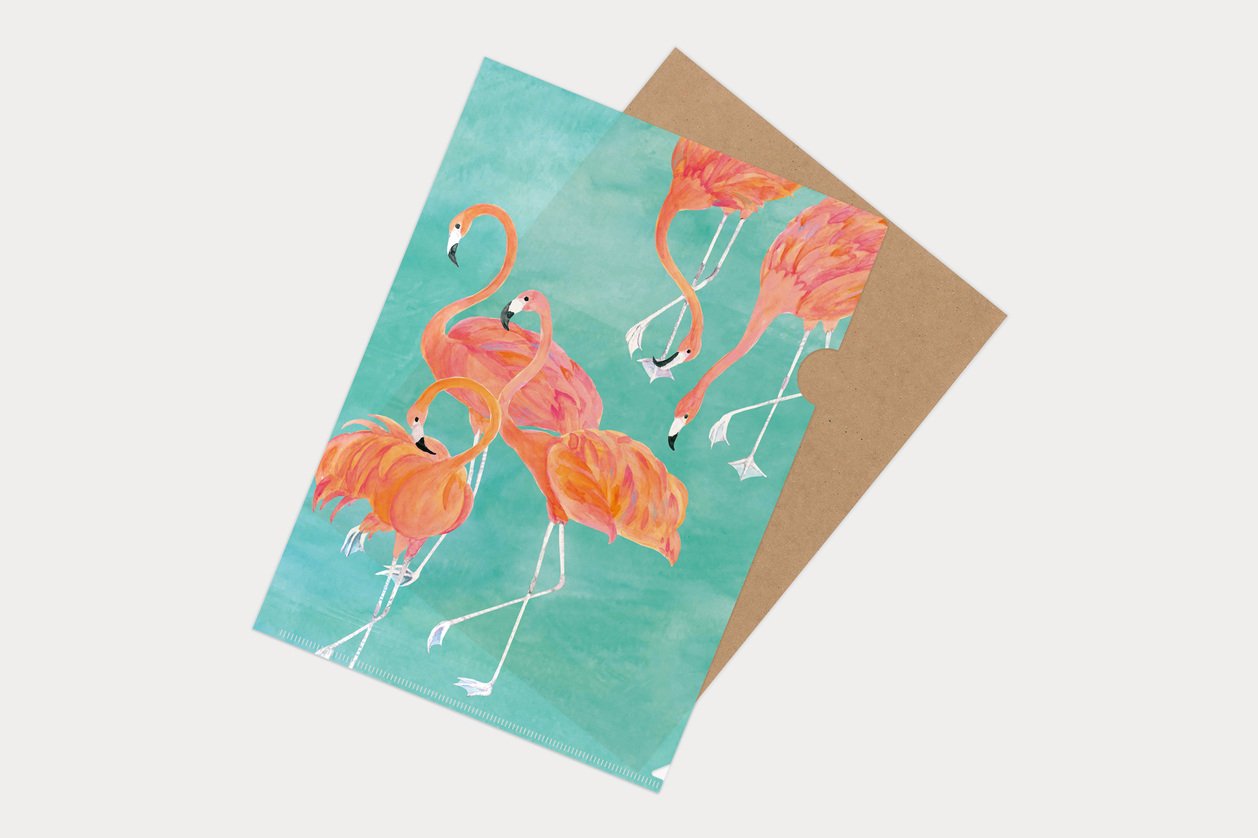 マトメムシ　いこいの時