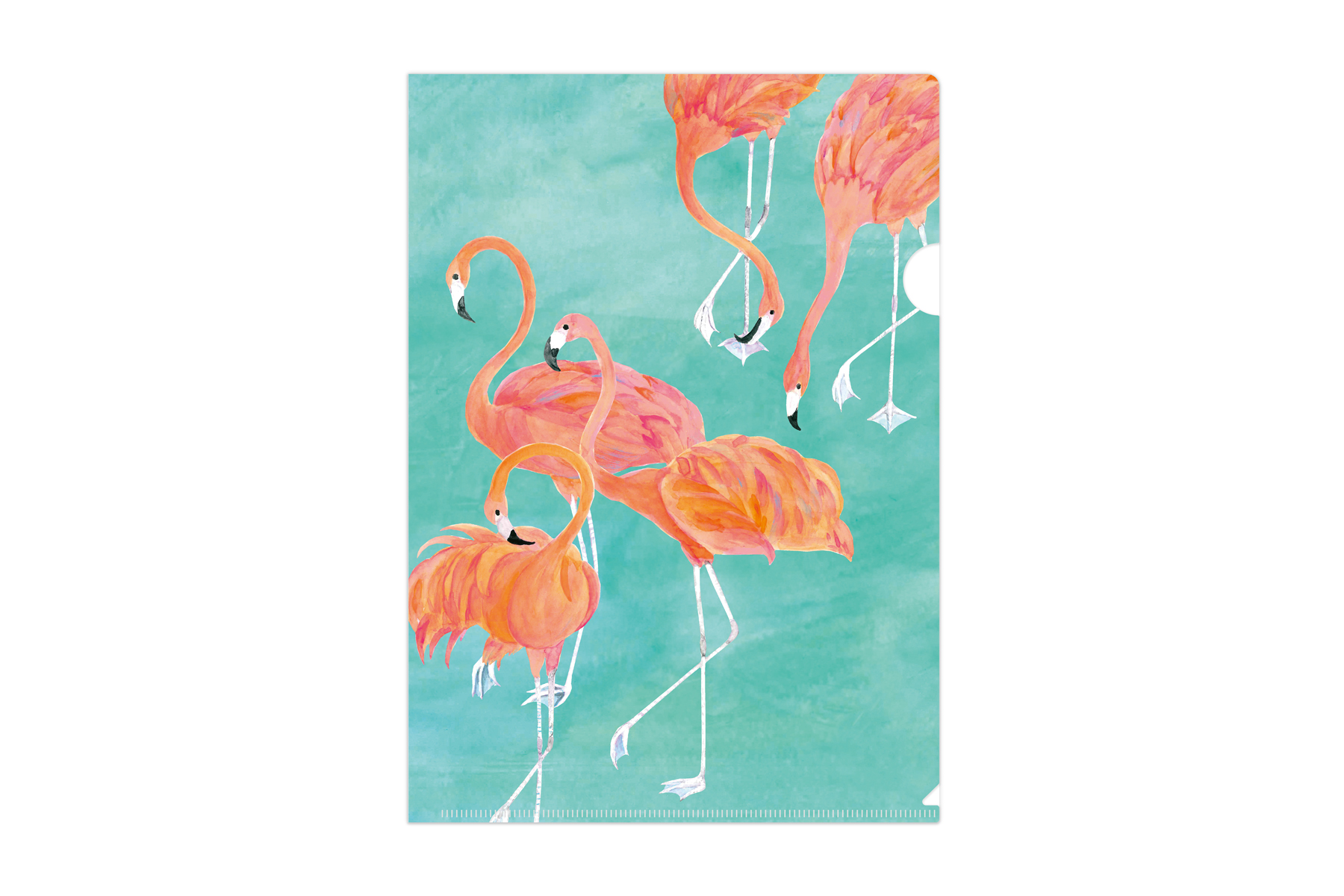 マトメムシ　いこいの時