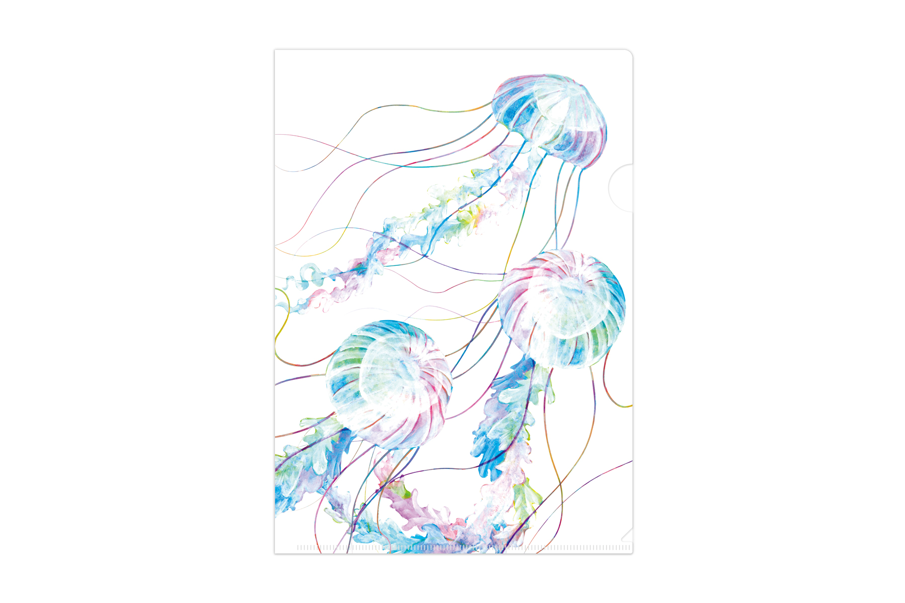 マトメムシ　ゆら緩ら