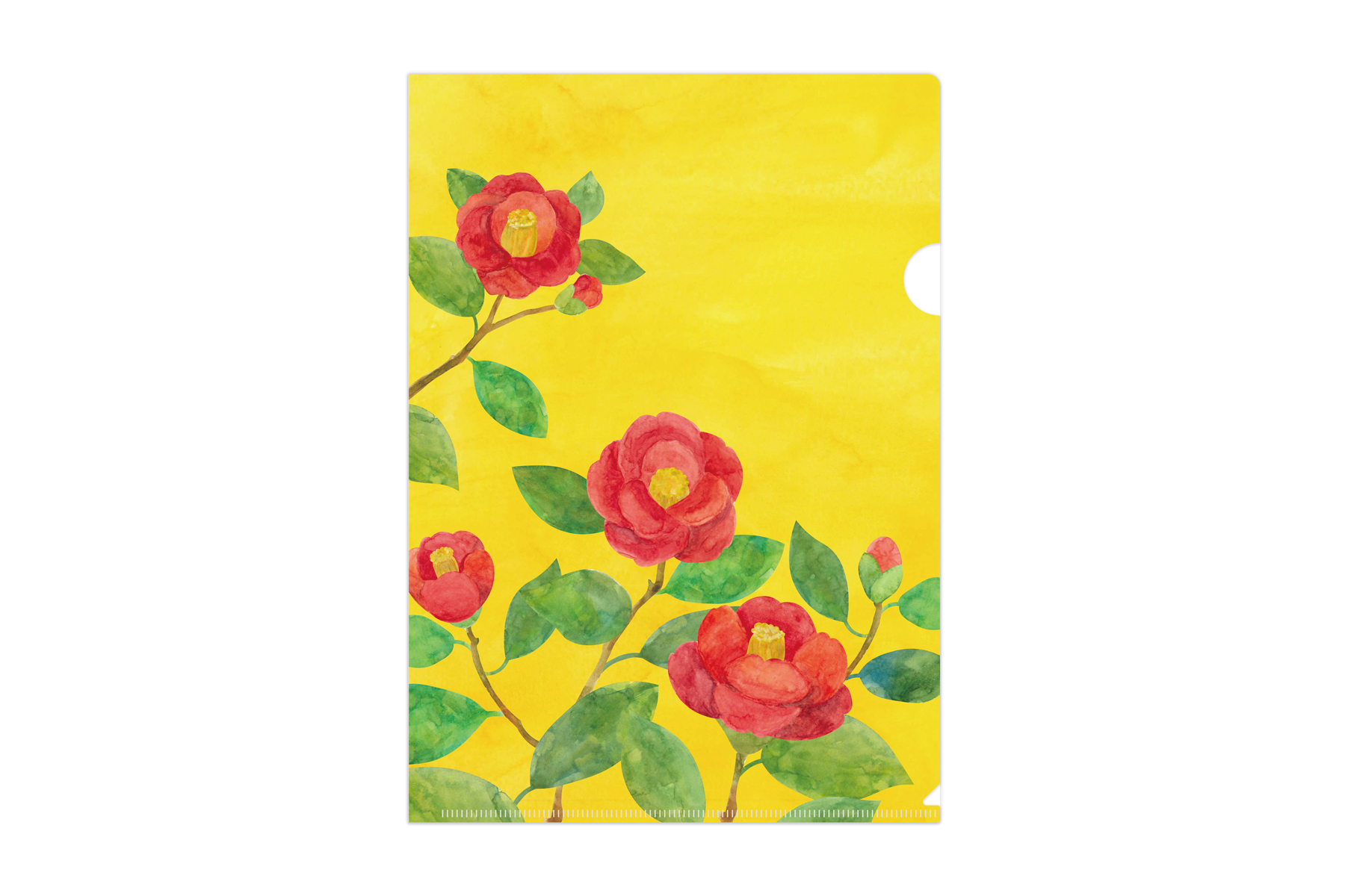 マトメムシ　黄金椿