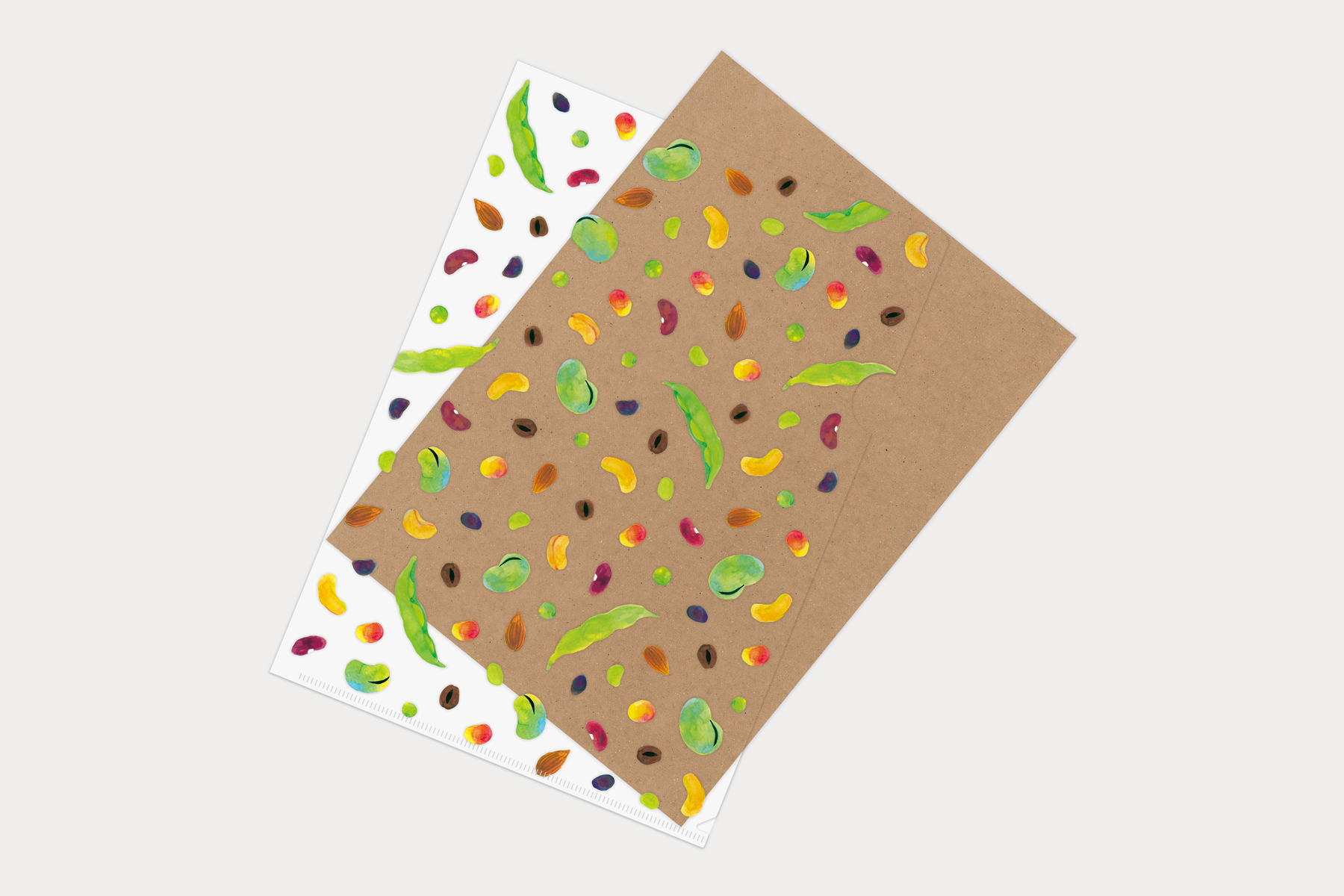 マトメムシ　まめ