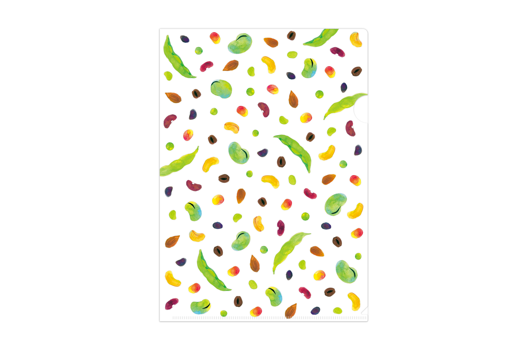 マトメムシ　まめ