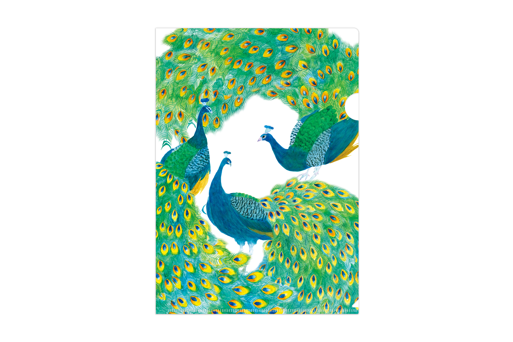 マトメムシ　あらだつ時