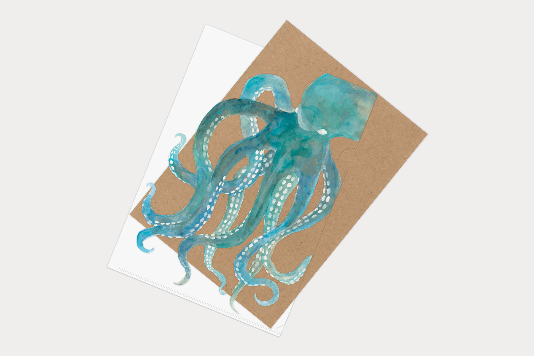 マトメムシ　くね曲ね