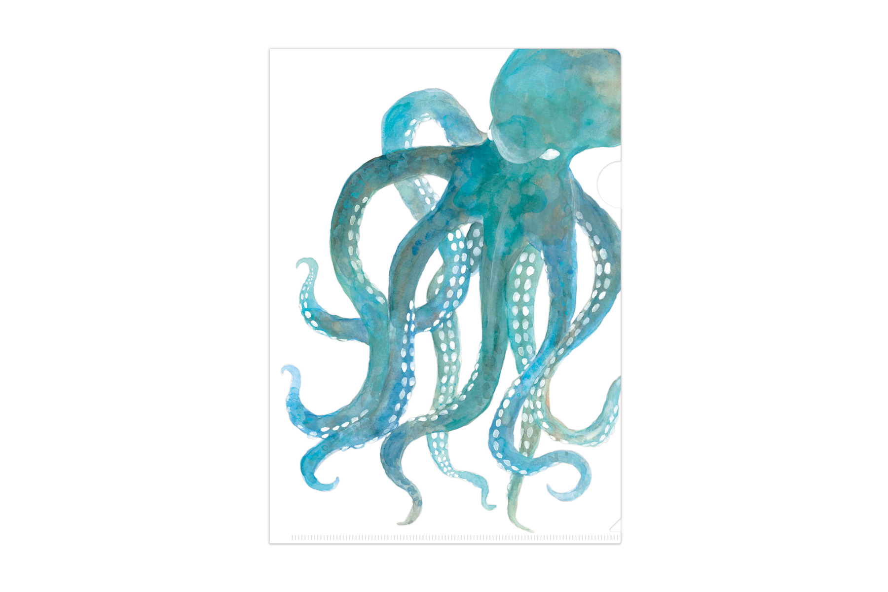 マトメムシ　くね曲ね