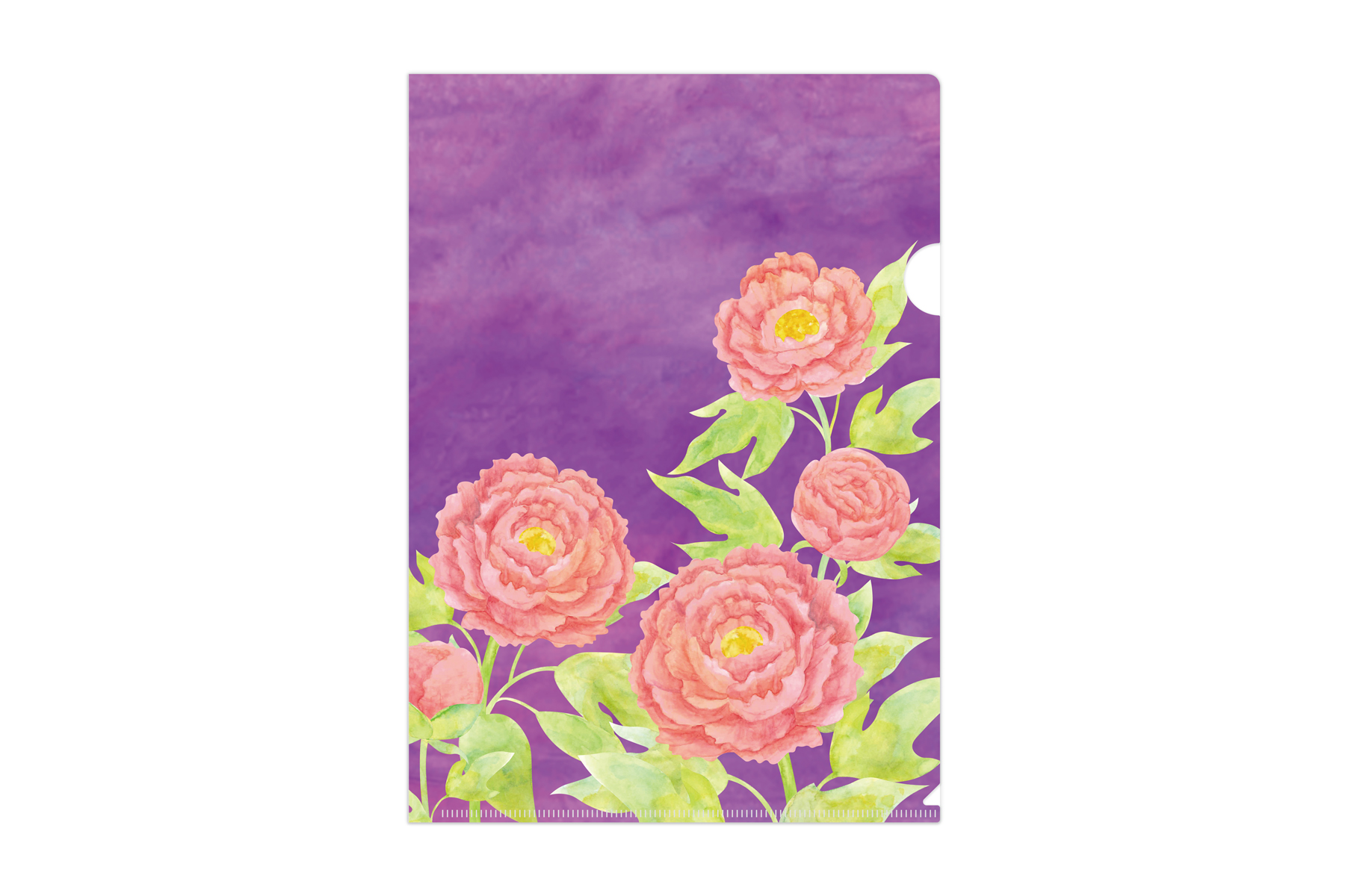 マトメムシ　紅紫牡丹