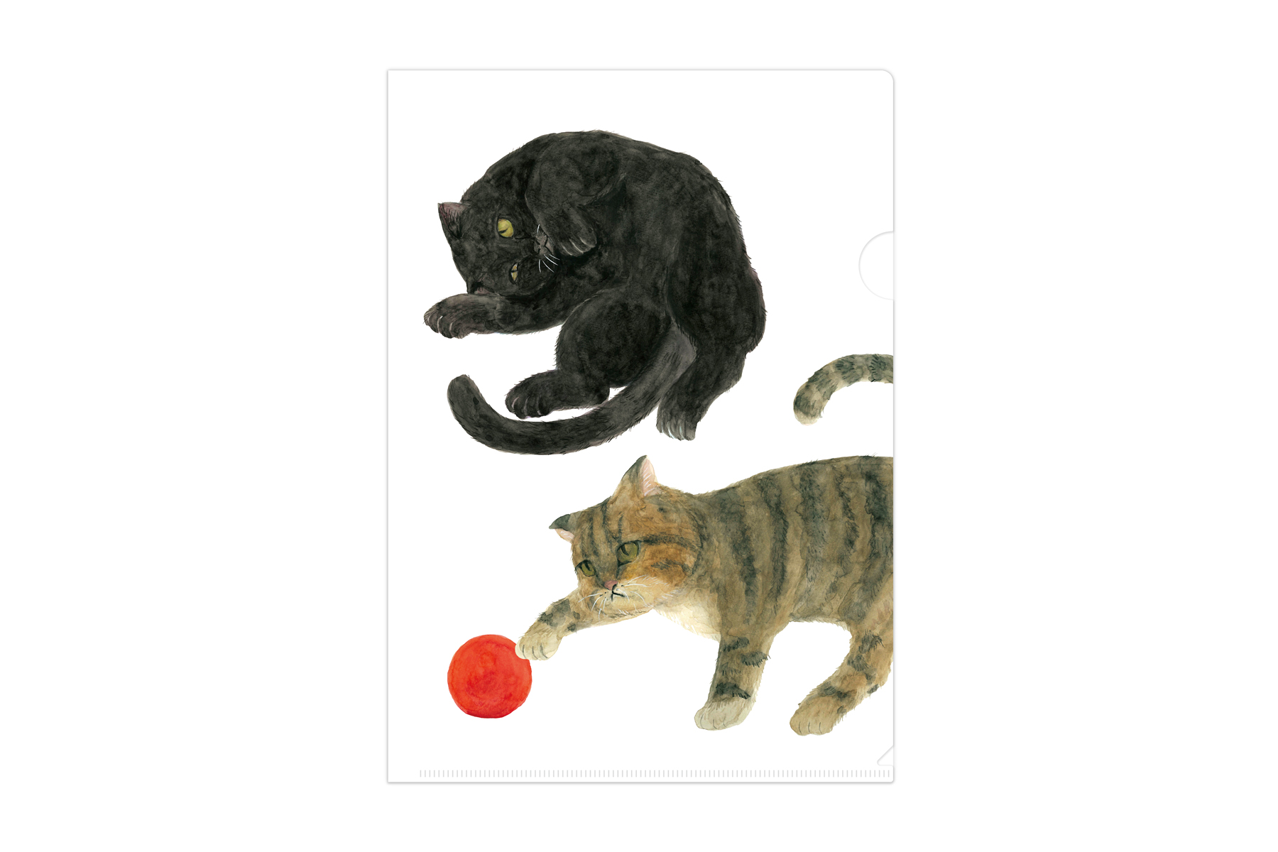 マトメムシ　いえねこ