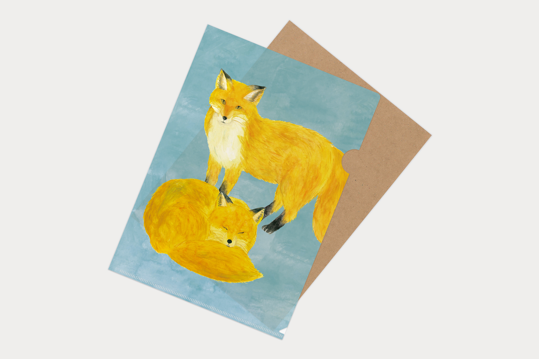 マトメムシ　きたきつね