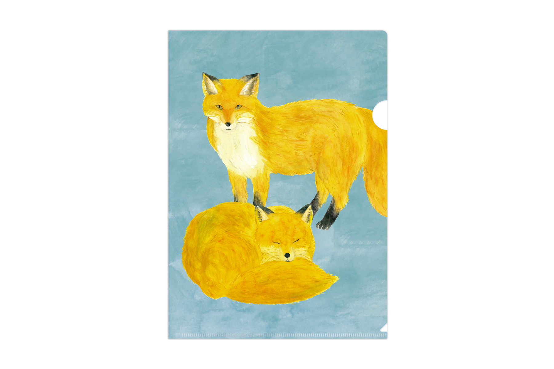 マトメムシ　きたきつね