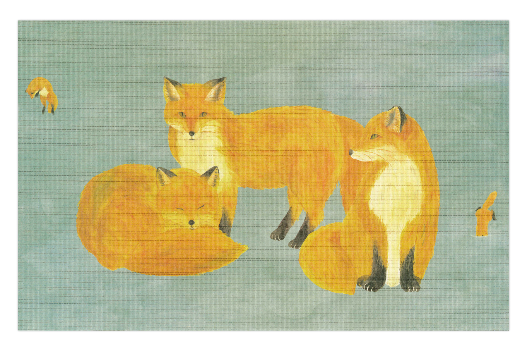 ホンノムシ　きたきつね