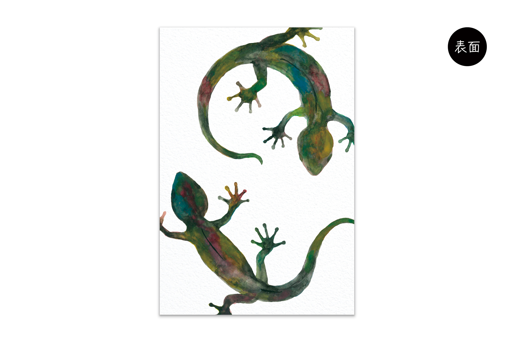 コノハムシ2.0　家守 黒