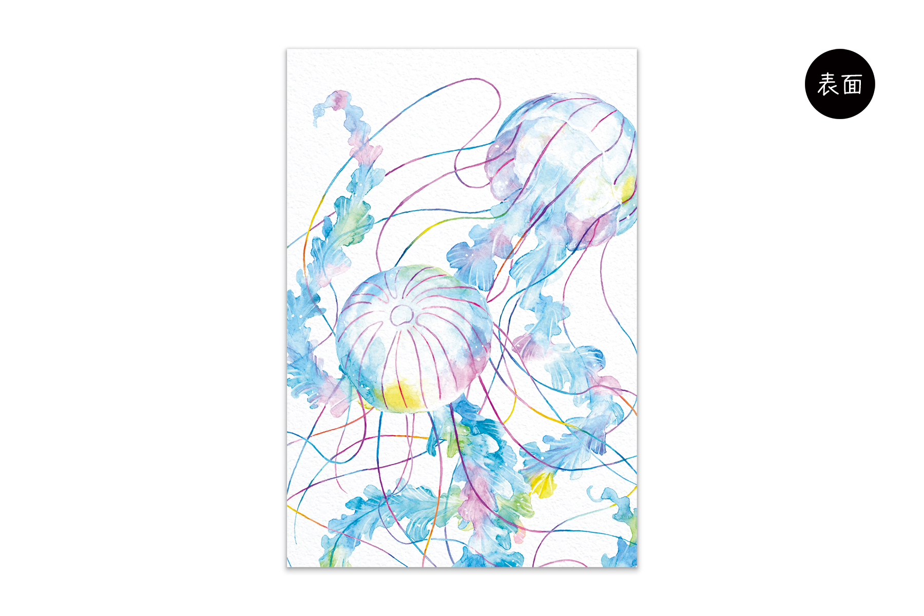 コノハムシ2.0　ゆら緩ら