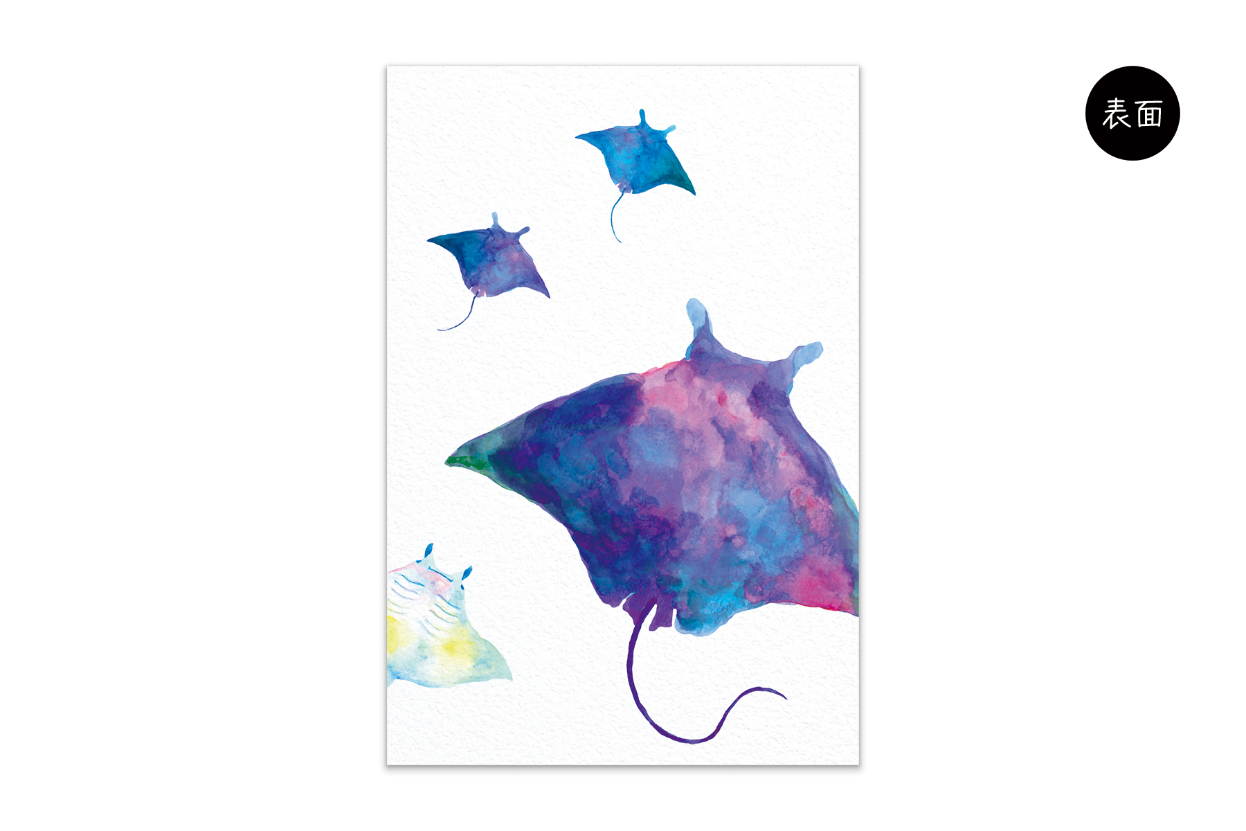 コノハムシ2.0　すい進い