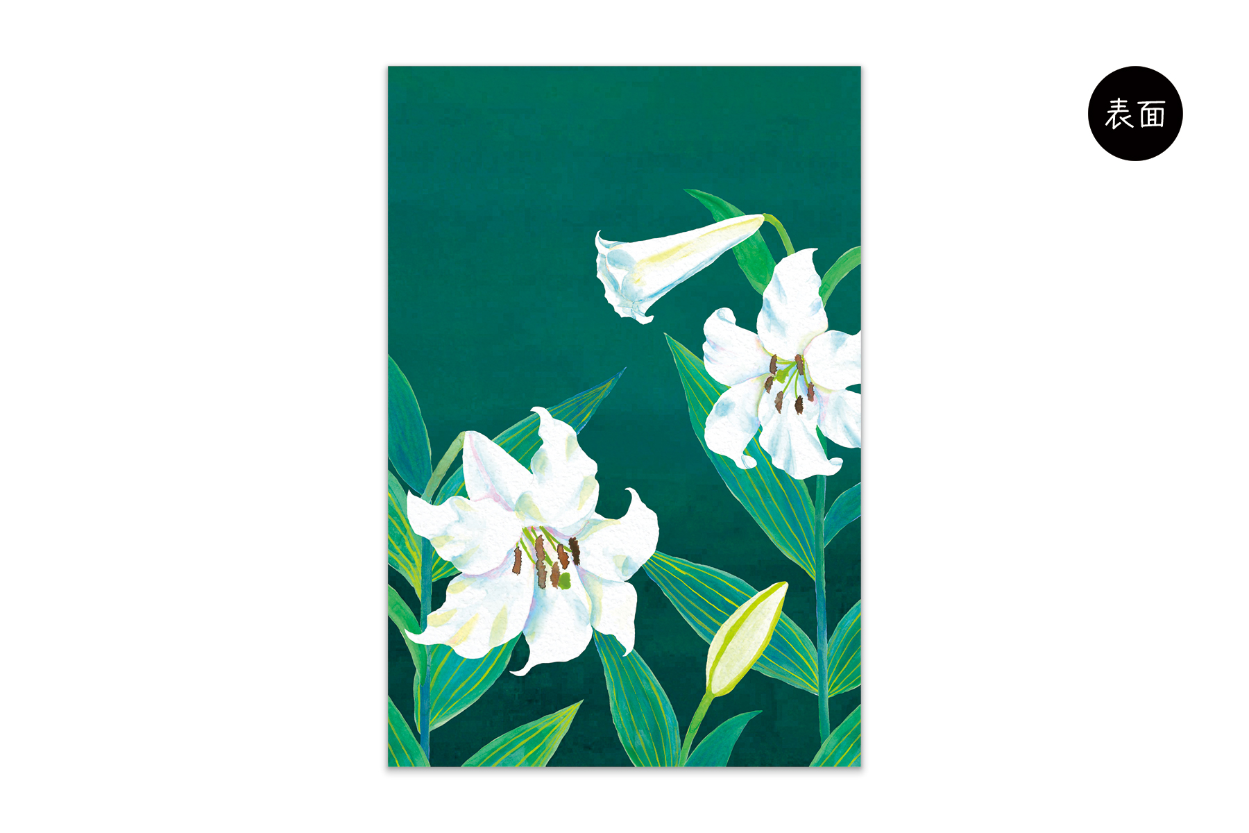 コノハムシ2.0　深緑白百合