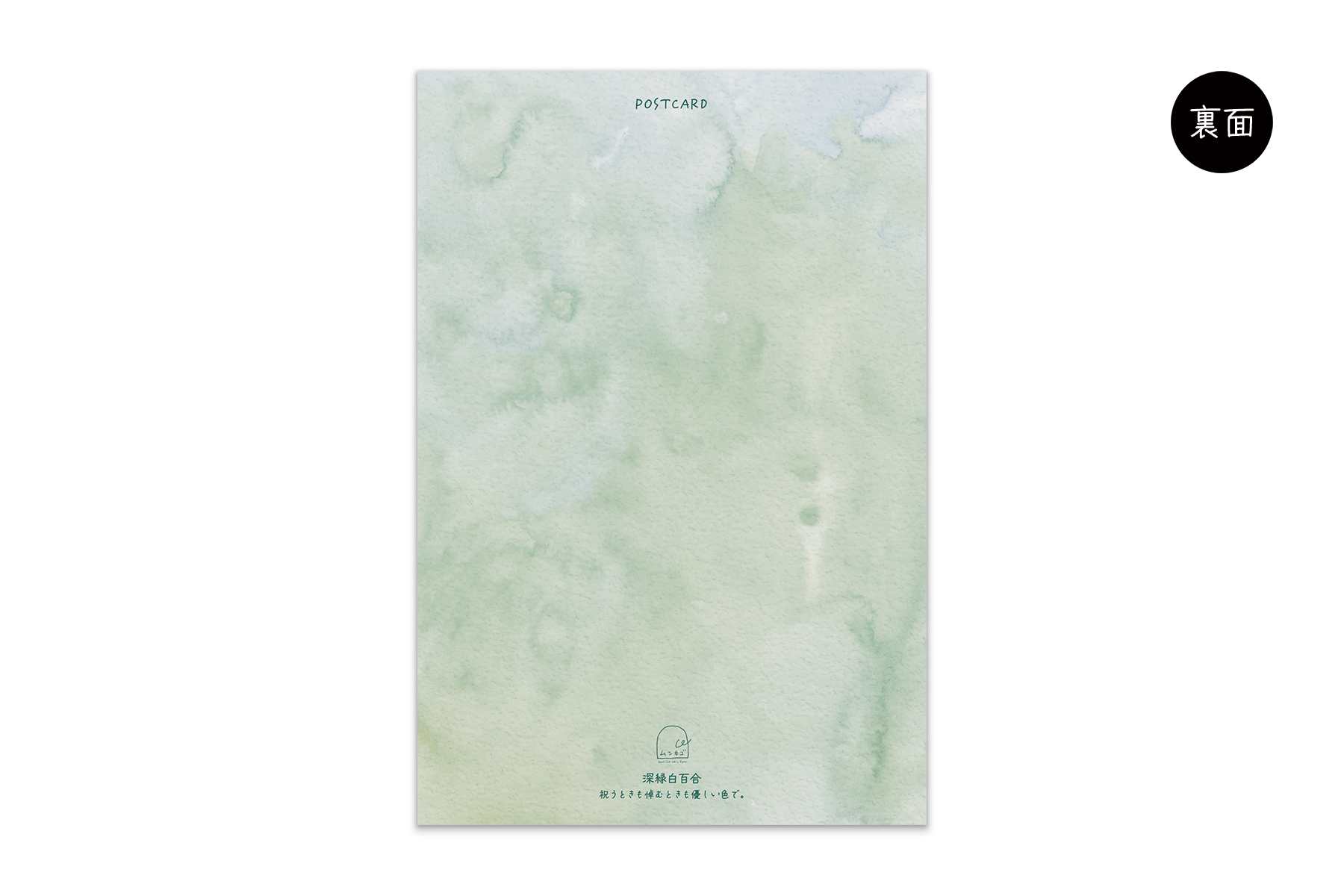 コノハムシ2.0　深緑白百合