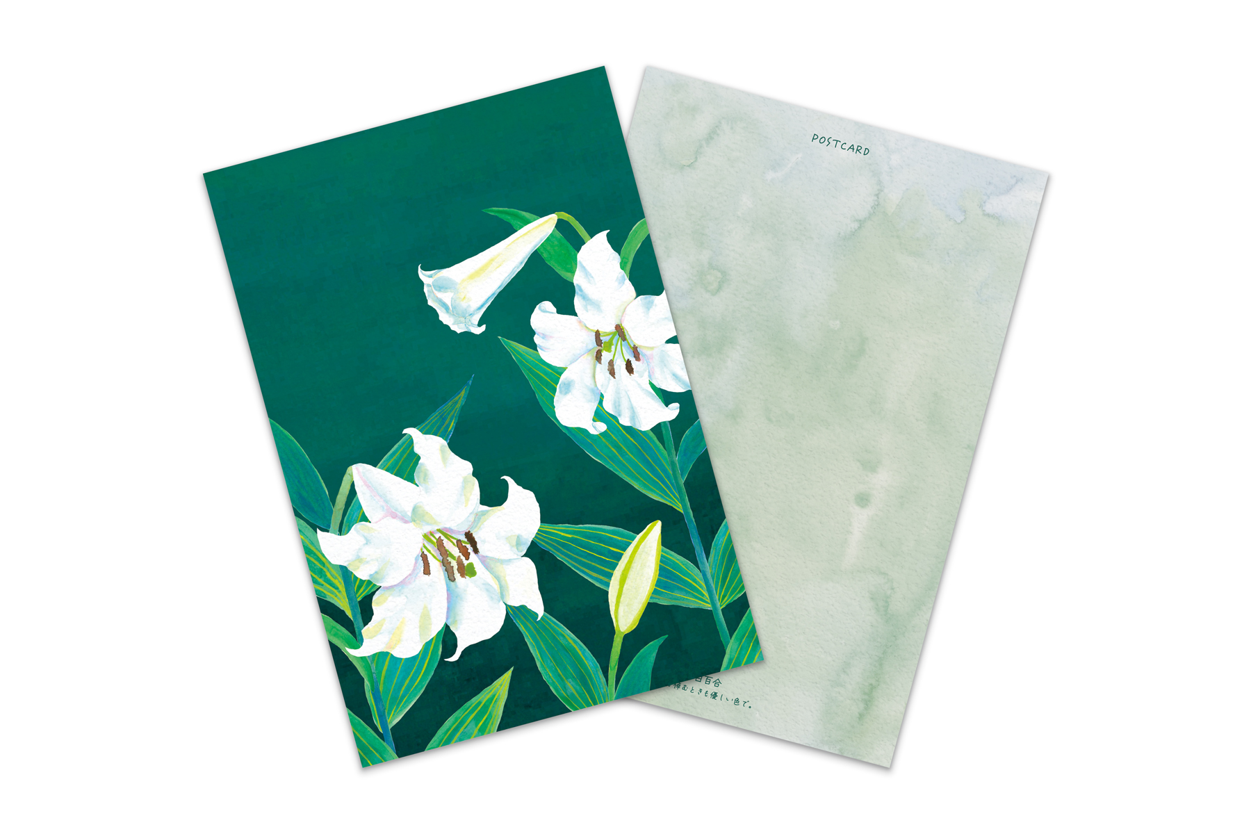 コノハムシ2.0　深緑白百合