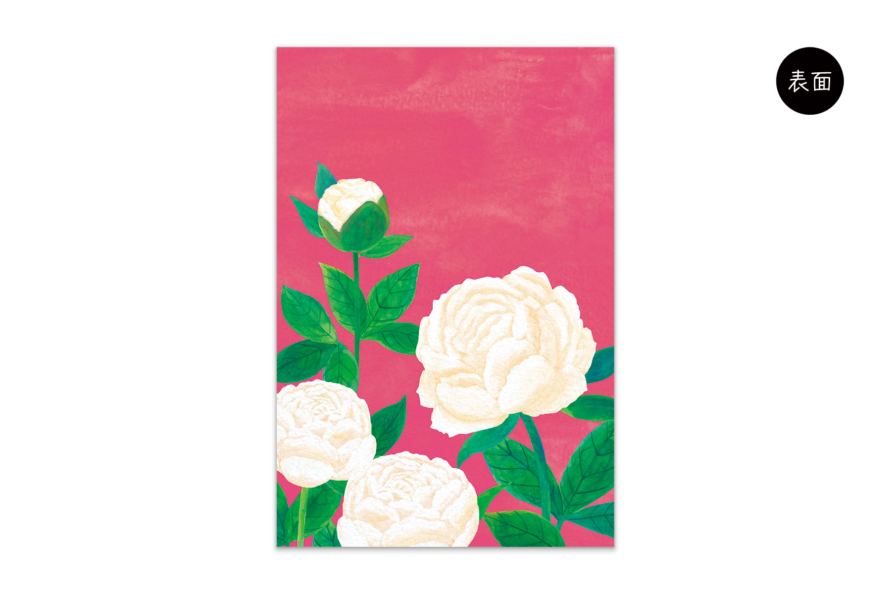 コノハムシ2.0　緋色芍薬