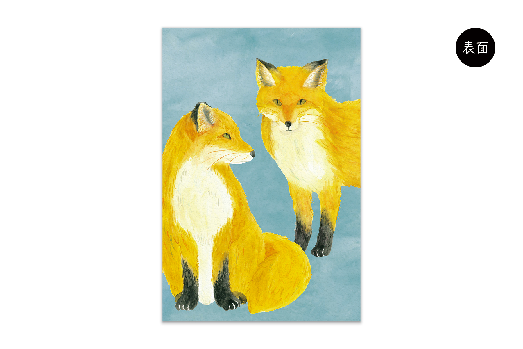 コノハムシ2.0　きたきつね