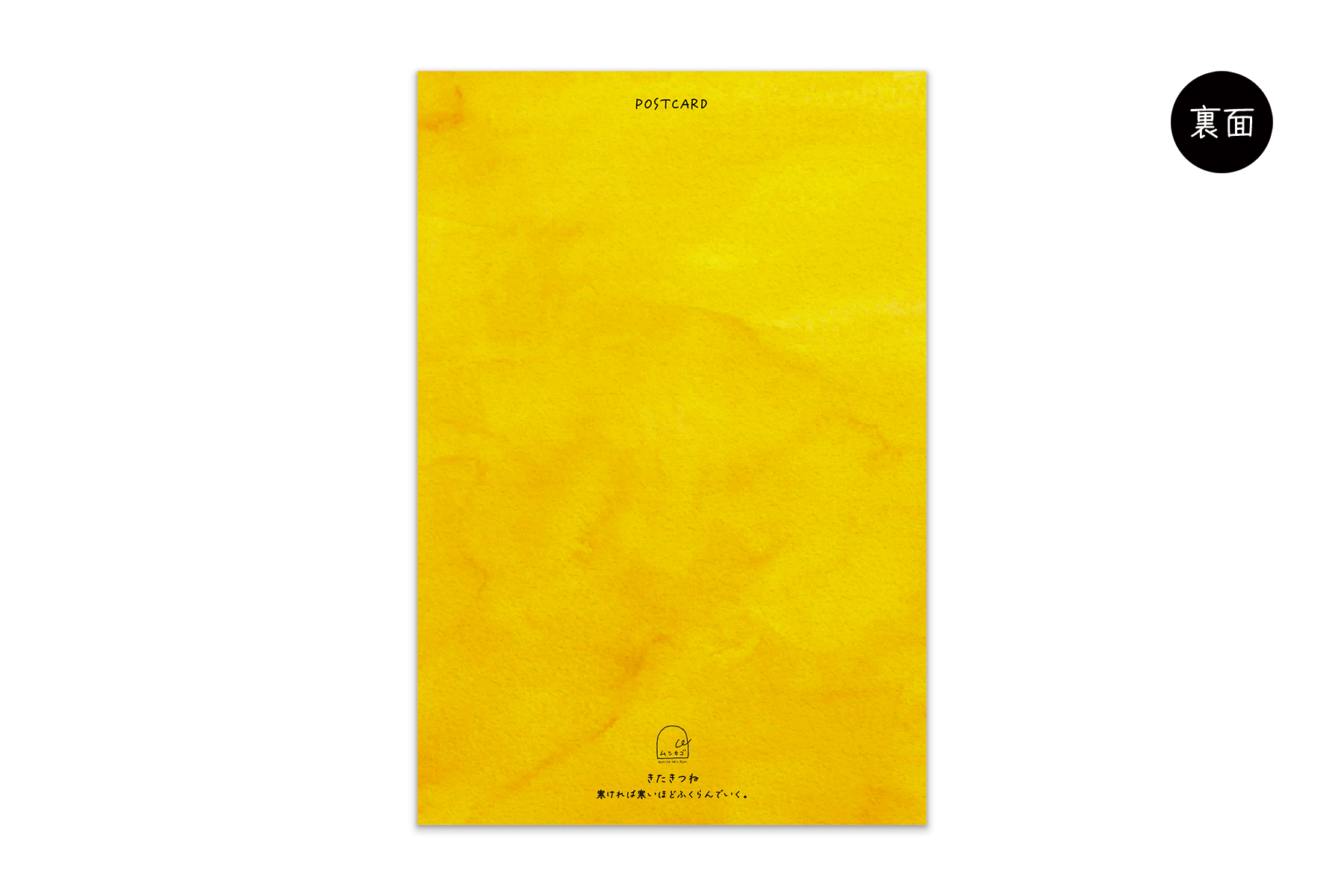 コノハムシ2.0　きたきつね