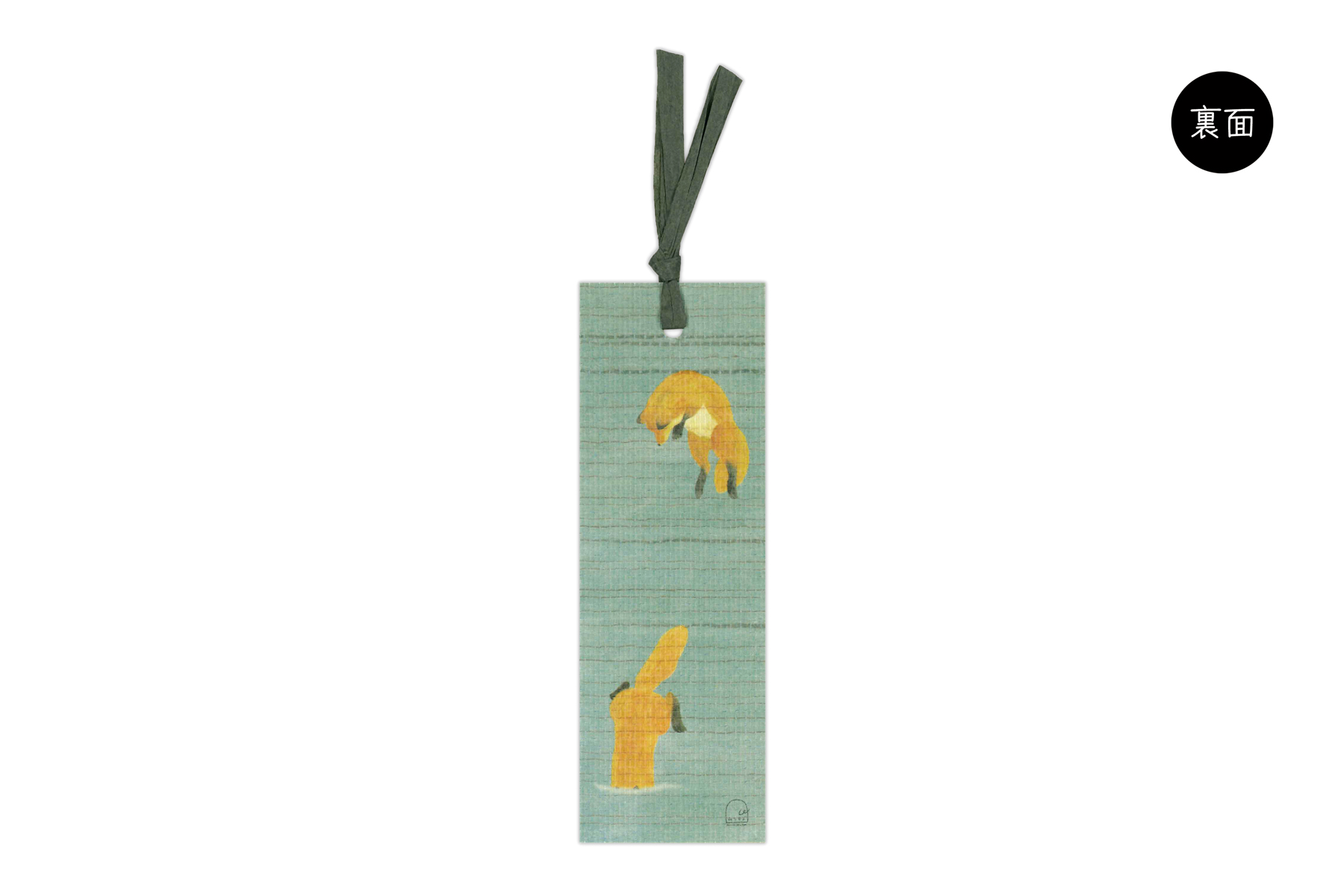 ハサミムシ　きたきつね