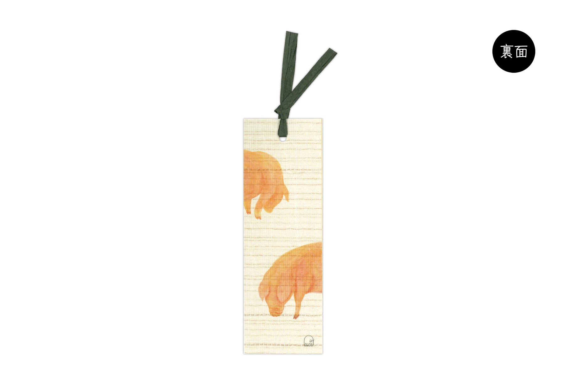 ハサミムシ　ぶた